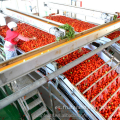 Máquina de fabricación de enlatado de salsa de tomate comercial